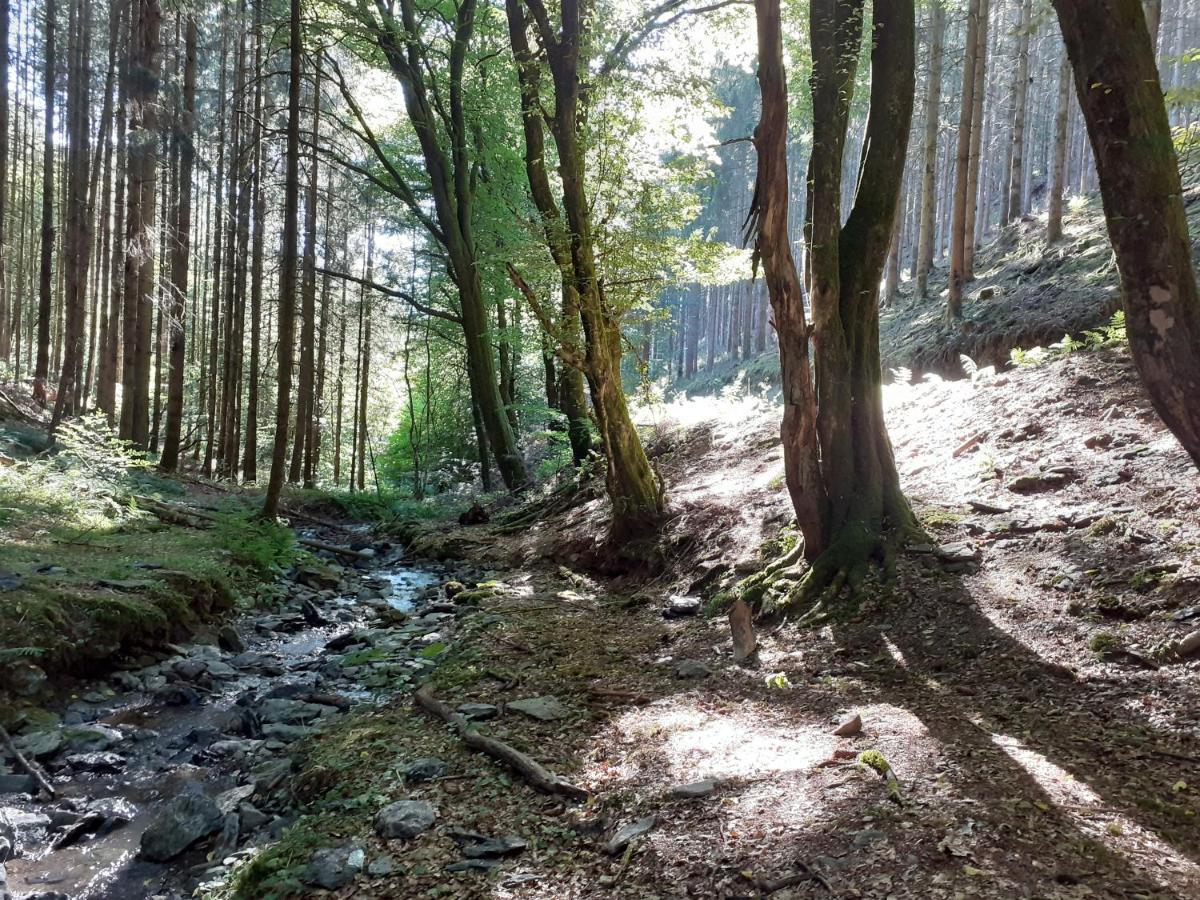 Le Refuge D'Engreux Otel Houffalize Dış mekan fotoğraf